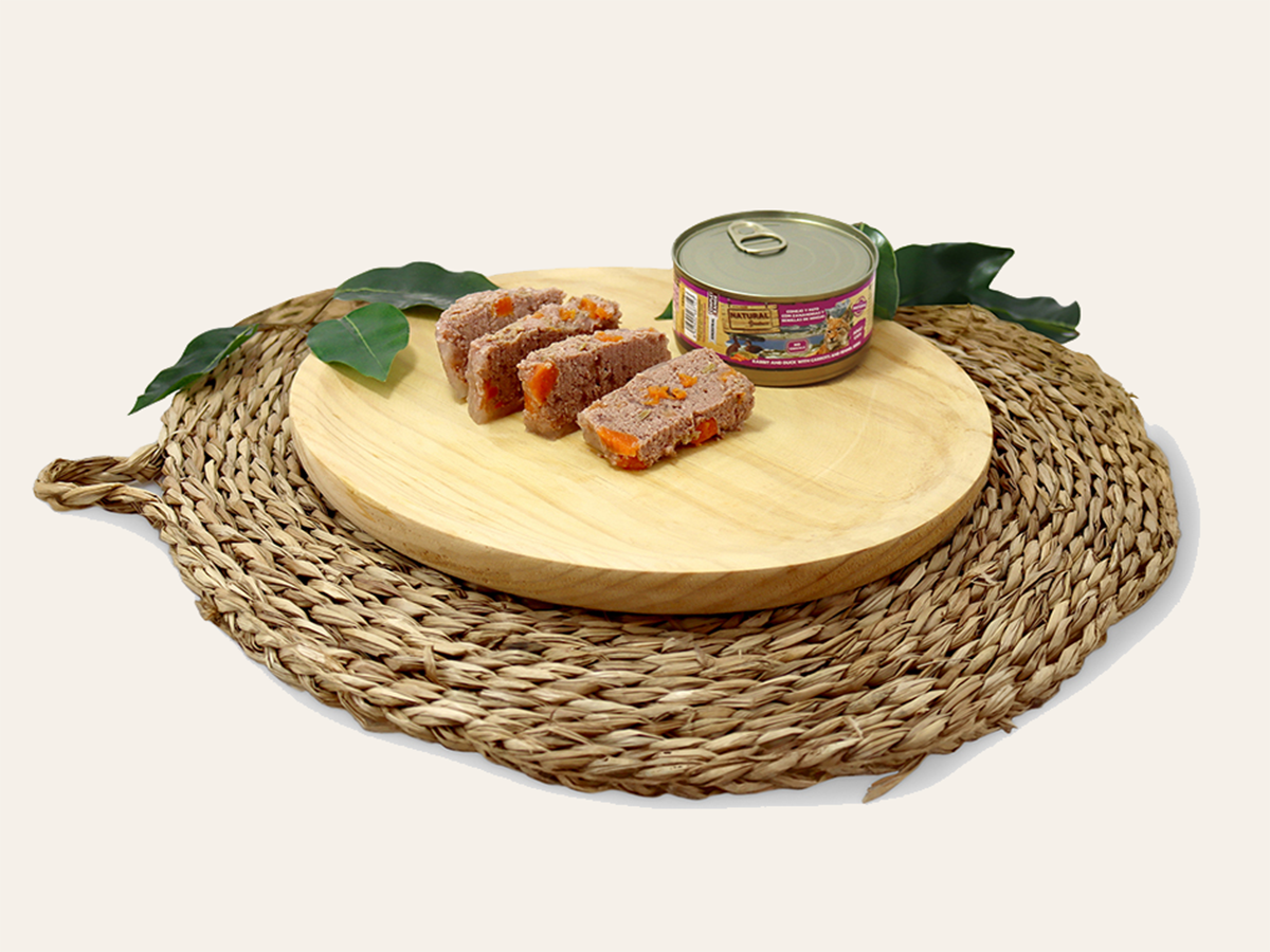 Paté de Conejo y Pato "SIN CEREALES + CONTROL DE PASO & SALUD INTESTINAL" para Gato Adulto/Senior y Esterilizado