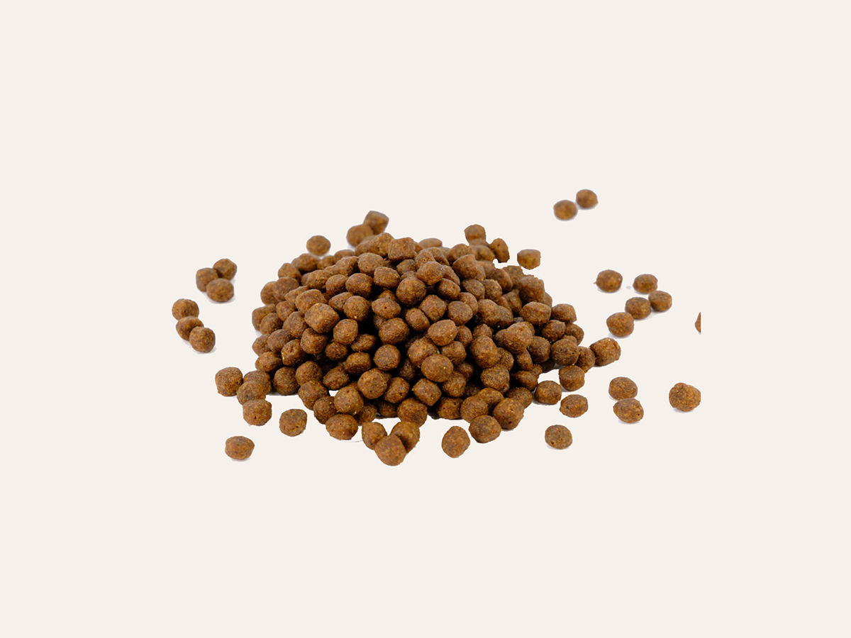 CAD: 08/26 - Pienso de Pollo CON CEREALES y GLUTEN + CRECIMIENTO ÓPTIMO y DESARROLLO CEREBRAL para Gato Gatito