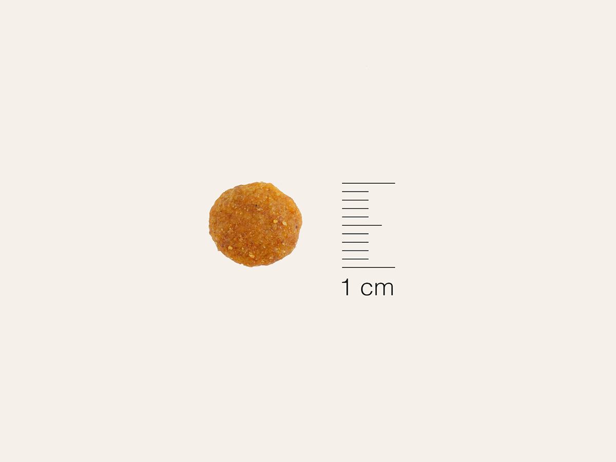 Pienso de Pollo y Salmón CON CEREALES + SALUD URINARIA y ALTA DIGESTIBILIDAD para Gato Adulto (también Esterilizado)