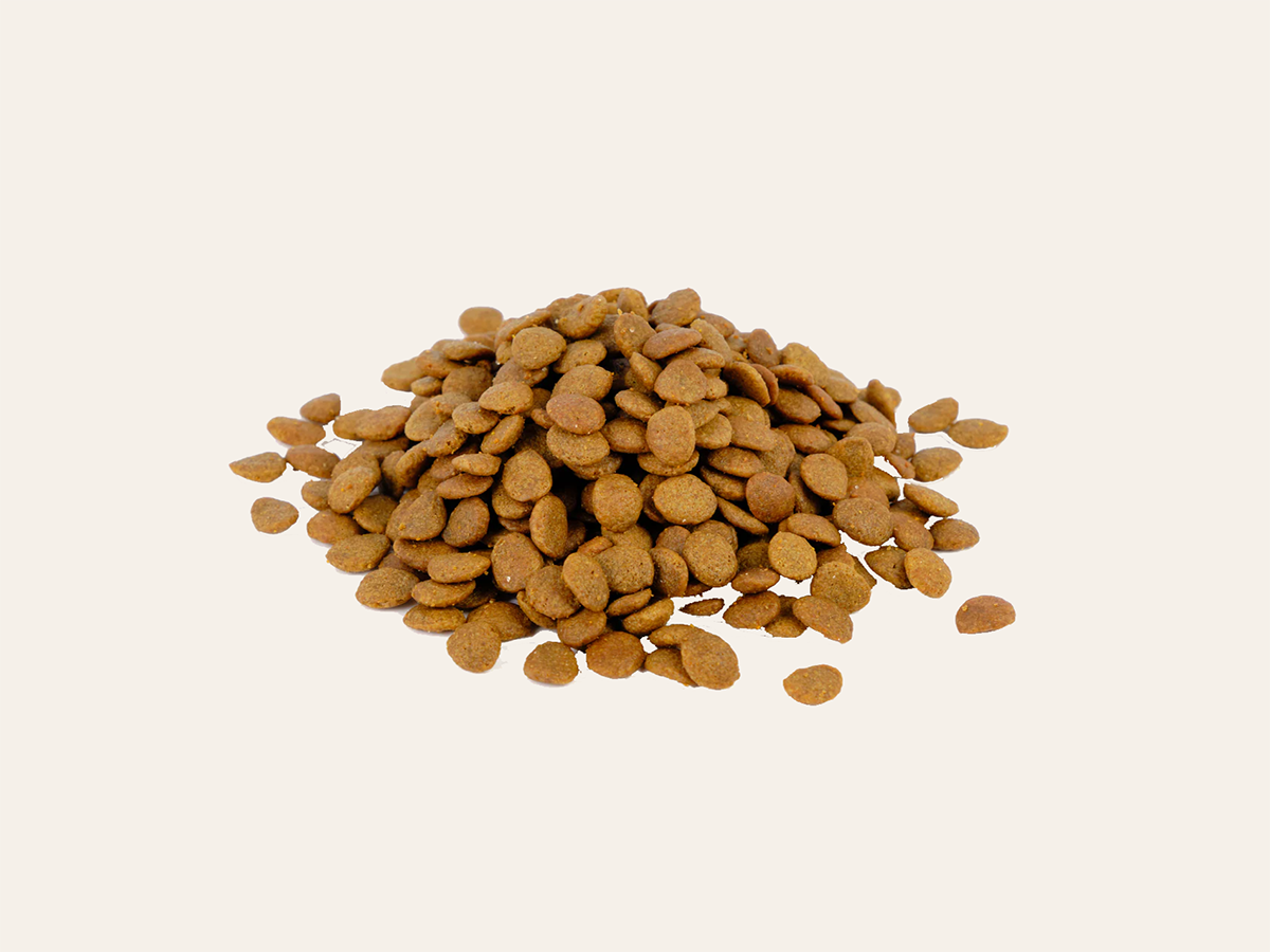 Pienso de Salmón y Pollo CON CEREALES y GLUTEN + MANTENIMIENTO MUSCULAR y ANTIESTRÉS para Gato Adulto (también Esterilizado)