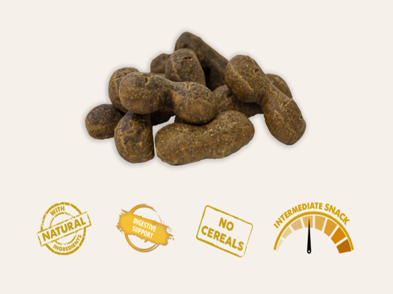 Snack Complementario Funcional Galletas Horneadas de Pavo, Calabaza, Patata y Quinoa SIN CEREALES + SALUD DIGESTIVA y CONTROL DE PESO para Perro Adulto/Senior (también Esterilizado) tamaño Mini / Pequeño