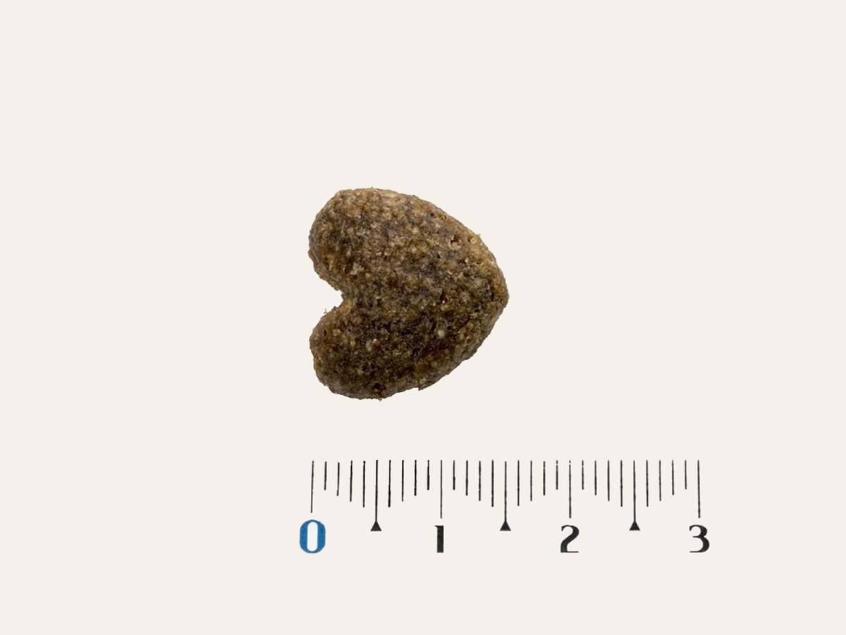 Pienso de Pollo y Cerdo CON CEREALES y GLUTEN + SOPORTE ARTICULAR y REFUERZO INMUNITARIO para Perro Adulto cualquier tamaño