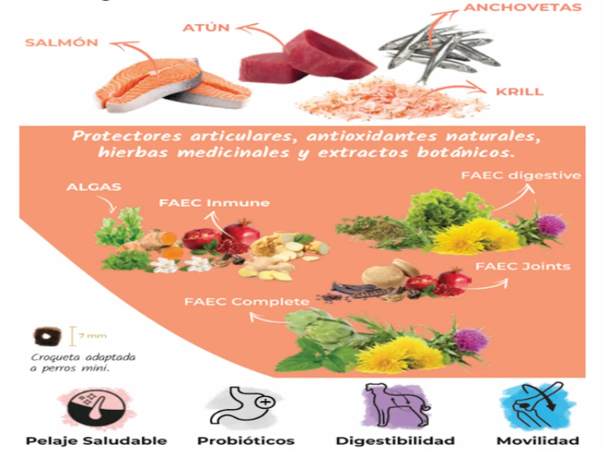 Pienso natural Lenda Mini Atlantic Blue Fish con beneficios hipoalergénicos para perros mini