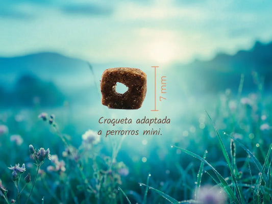 Pienso natural Lenda Mini Atlantic Blue Fish con beneficios hipoalergénicos para perros mini