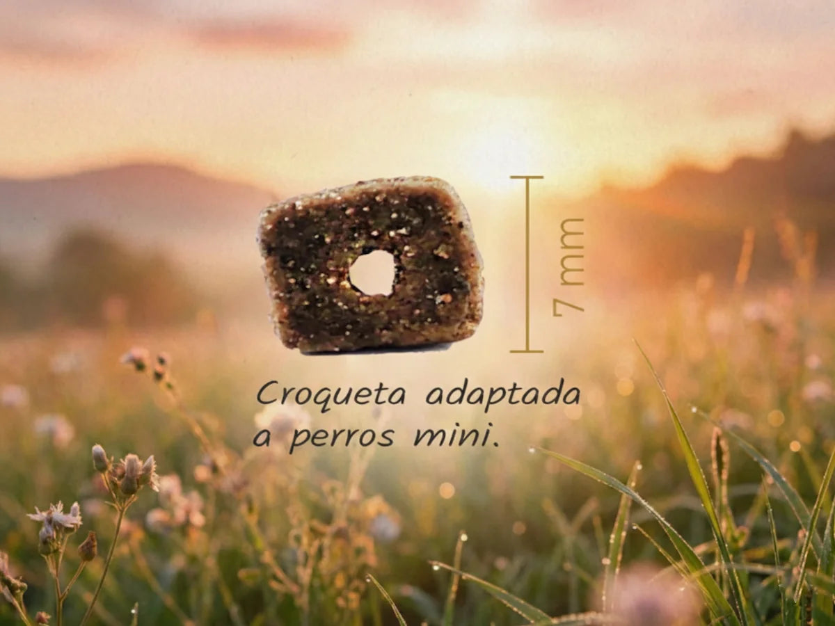 Pienso de Pavo, Pato, Oca y Salmón BAJO EN CEREALES + PROTECCIÓN ARTICULAR y DIGESTIÓN ACTIVA para Perro Adulto/Senior de tamaño Mini/Pequeño