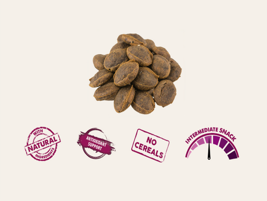 Snack Complementario Funcional Galletas Horneadas de Pavo, Manzana y Arándanos SIN CEREALES + SALUD DIGESTIVA y CARDIOVASCULAR para Perro Adulto/Senior (también Esterilizado) cualquier tamaño