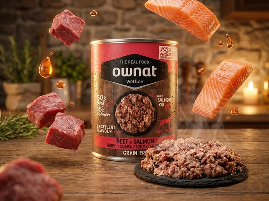 Paté completo de Buey y Salmón con Arándanos para Perro rico en Omega 3