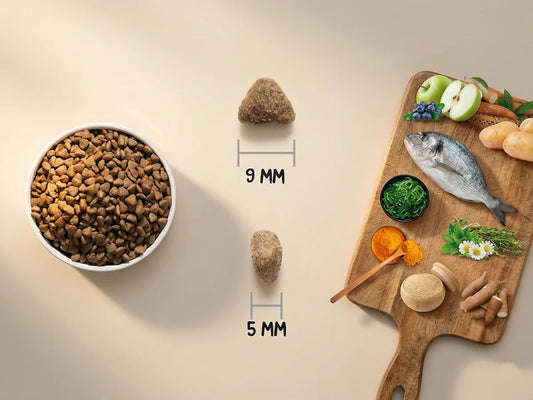 Pienso hipoalergénico de 30% Pescado azul fresco para Gato sin cereales para piel sensible