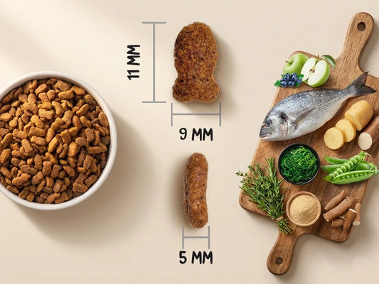 Pienso de cuidado renal con 30% Pollo fresco para Gato bajo en fósforo y sodio