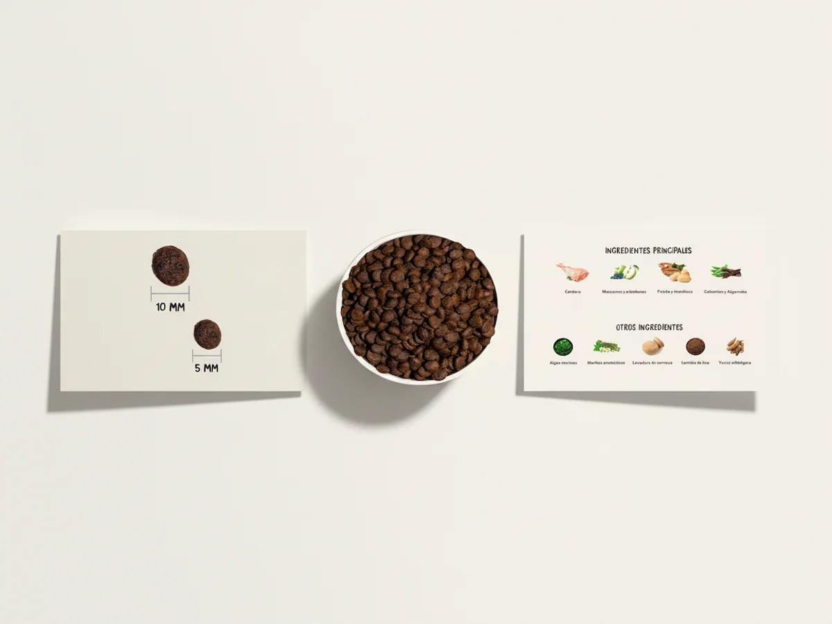 Pienso natural sin cereales con 40% cordero fresco para perro cachorro y junior