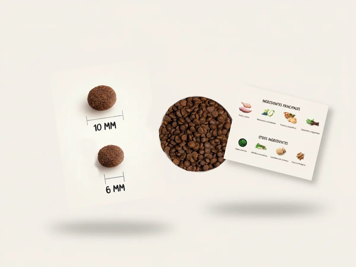 Pienso natural sin cereales con 50% pollo y pavo fresco para perro de raza pequeña