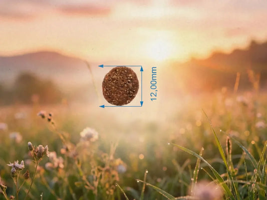 Saco de pienso de Pavo y Krill para Perro con colágeno para proteger las articulaciones