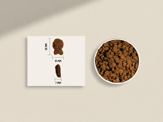 Pienso natural con 10% pescado fresco para perro adulto ideal para piel y pelo