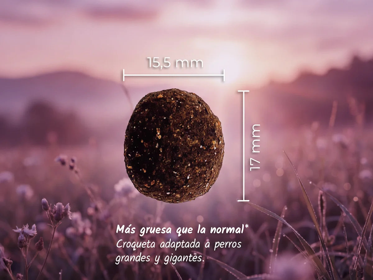 Saco de pienso completo de Pavo, Pollo y Atún para Perro de raza grande con colágeno
