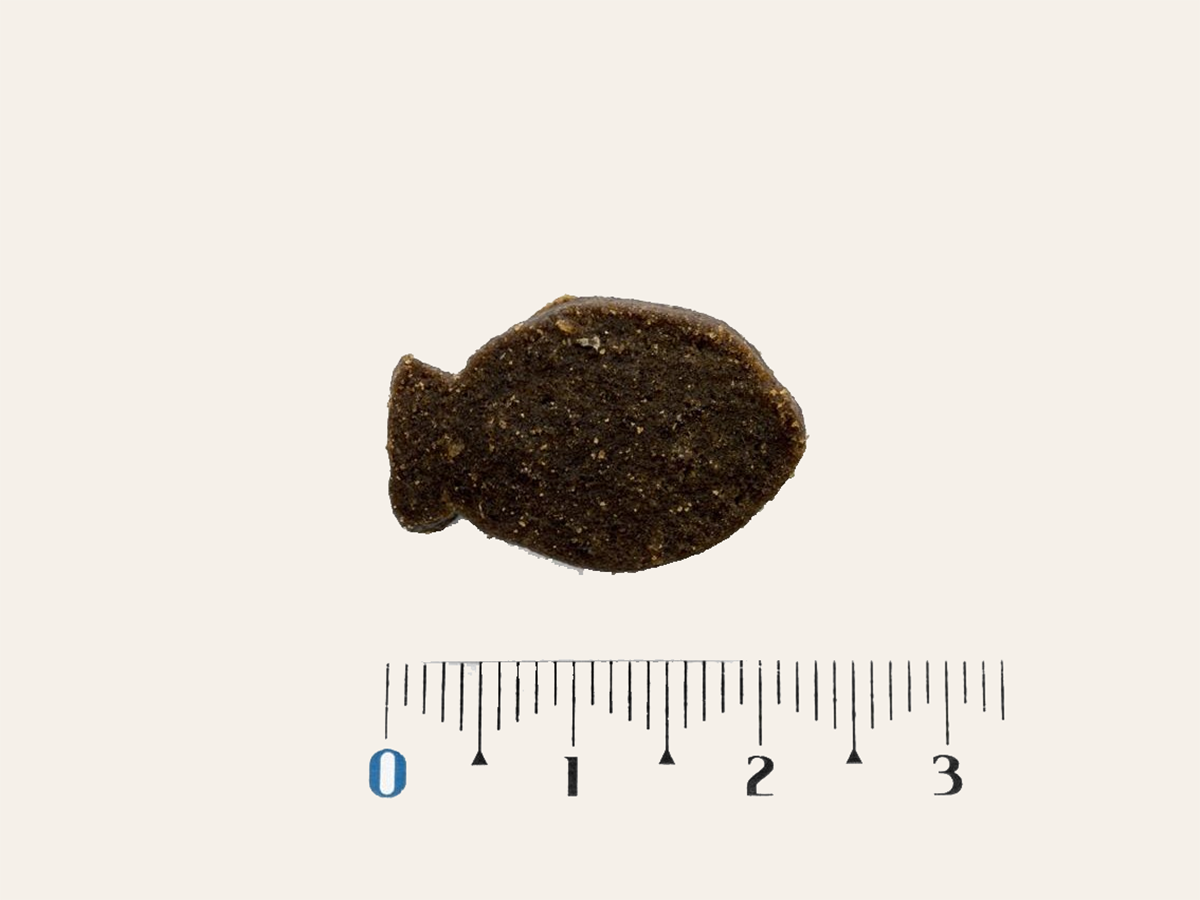 Snack Funcional Complementario de Salmón SIN CEREALES + SOPORTE COGNITIVO y PIEL y PELAJE SANO para Perro cualquier edad (también Esterilizado) y tamaño