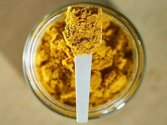Suplemento natural de Cúrcuma (Golden Paste) para Perro y Gato con propiedades antiinflamatorias