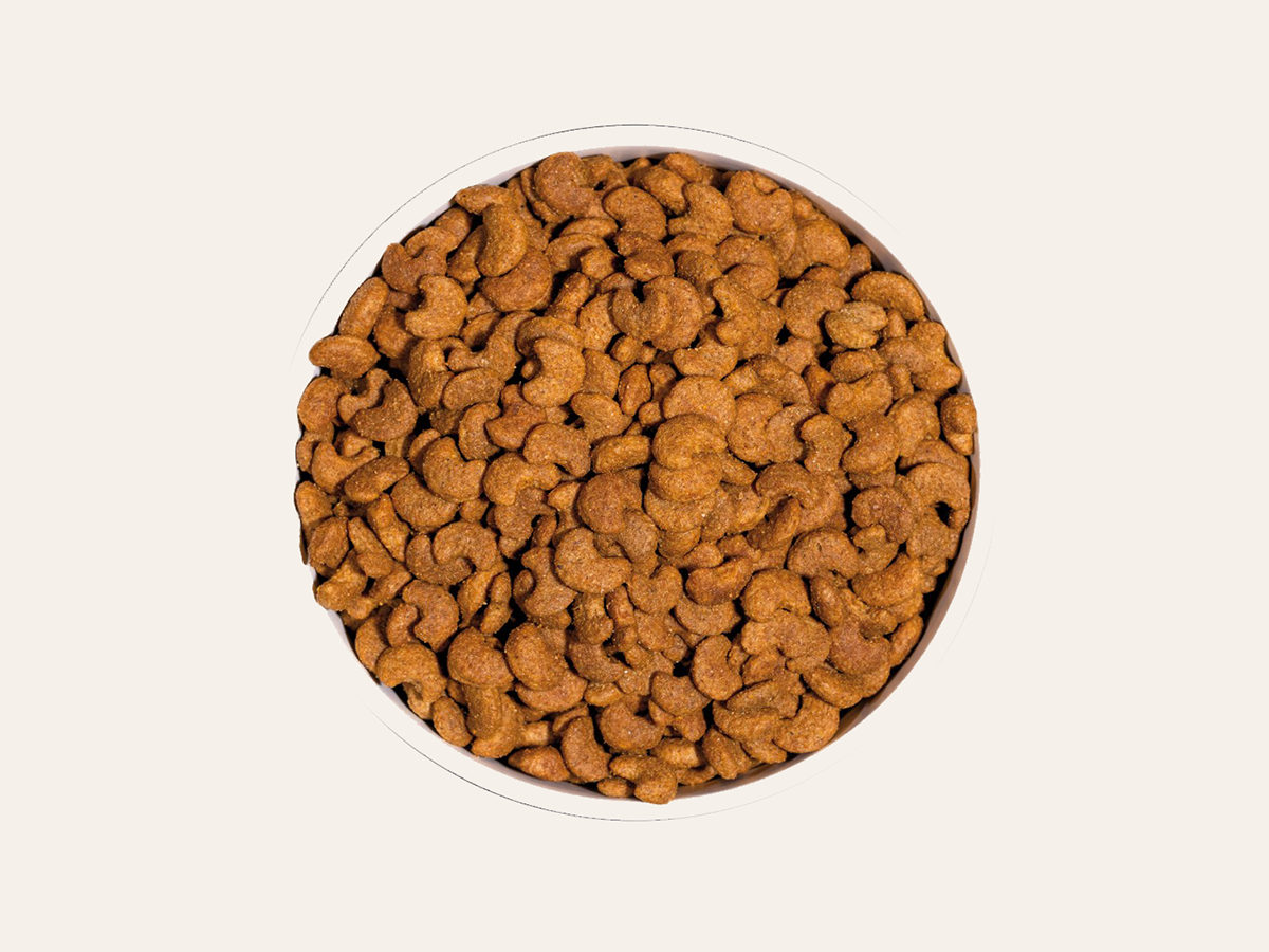 Pienso de Pollo y Pescado "CON CEREALES Y GLUTEN + CONTROL BOLAS PELO & PIEL Y PELO SANO" para Gato Adulto/Senior