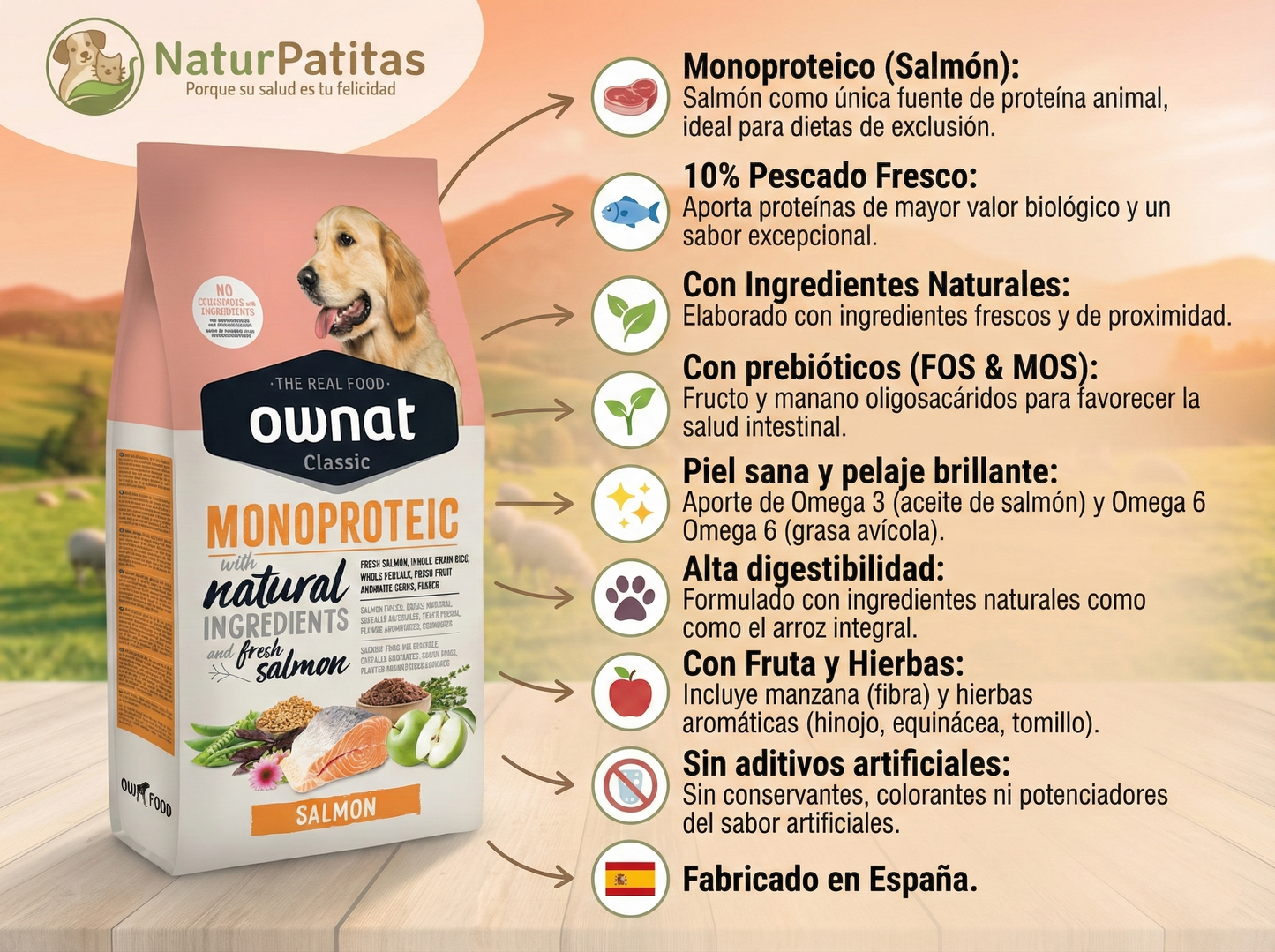 Pienso de Salmón "CON CEREALES Y GLUTEN + DIGESTIÓN FÁCIL & PIEL Y PELO SANO" para Perro Adulto/Senior tamaño Mediano/Grande