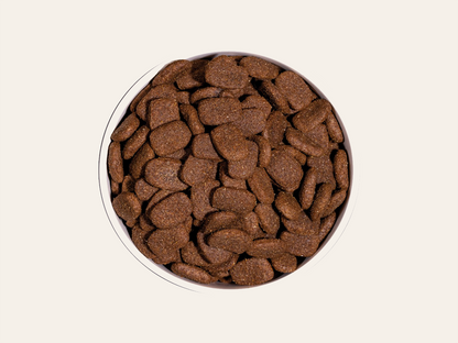 Pienso de Carnes Deshidratadas y Pollo "CON CEREALES Y GLUTEN + DIGESTIVO & PIEL Y PELO SANO" para Perro Adulto/Senior tamaño Grande/Gigante