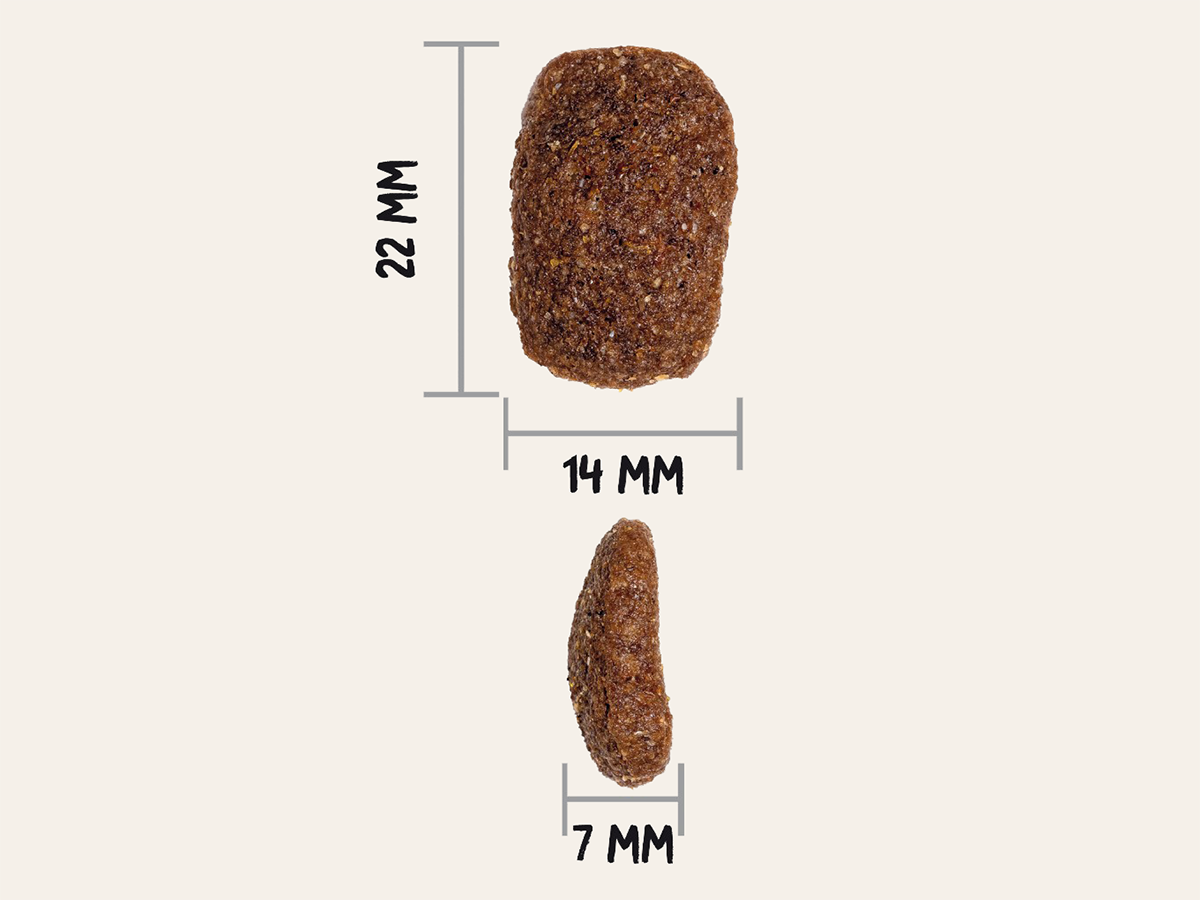 Pienso de Carnes Deshidratadas y Pollo "CON CEREALES Y GLUTEN + DIGESTIVO & PIEL Y PELO SANO" para Perro Adulto/Senior tamaño Grande/Gigante