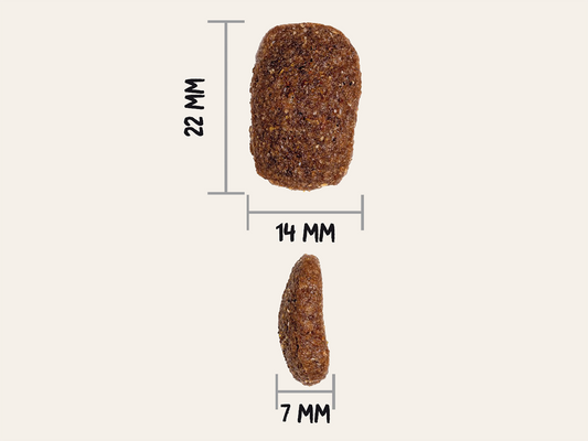 Pienso de Carnes Deshidratadas y Pollo "CON CEREALES Y GLUTEN + DIGESTIVO & PIEL Y PELO SANO" para Perro Adulto/Senior tamaño Grande/Gigante