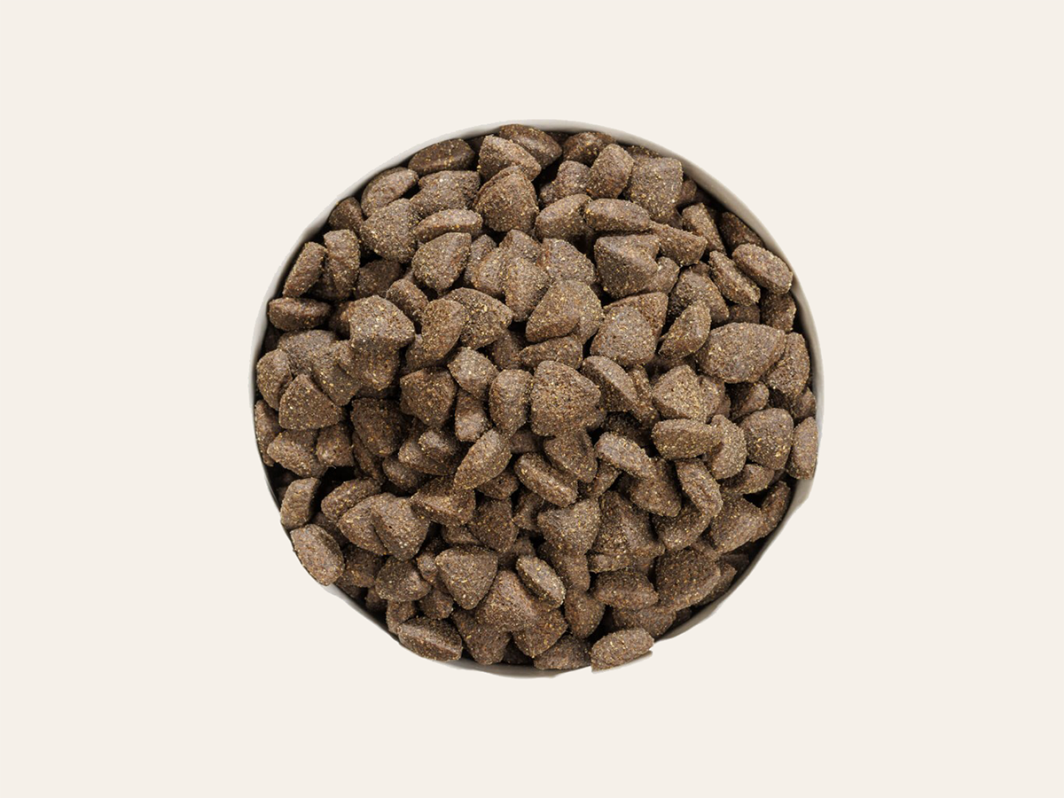 Pienso de Cordero y Cerdo "SIN CEREALES + SOPORTE INMUNOLÓGICO & ARTICULAR" para Perro Adulto/Senior tamaño Mediano