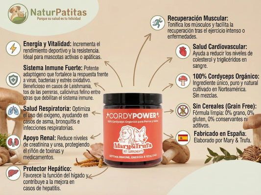 Infografía del suplemento CORDYPOWER de NaturPatitas con 100% Cordyceps Orgánico para perros y gatos. Detalla sus beneficios clave, como el incremento de energía y vitalidad, el fortalecimiento del sistema inmune, la salud respiratoria, el apoyo renal y hepático, la recuperación muscular, la salud cardiovascular, y su composición sin cereales y fabricada en España. Incluye iconos y el logo de NaturPatitas.