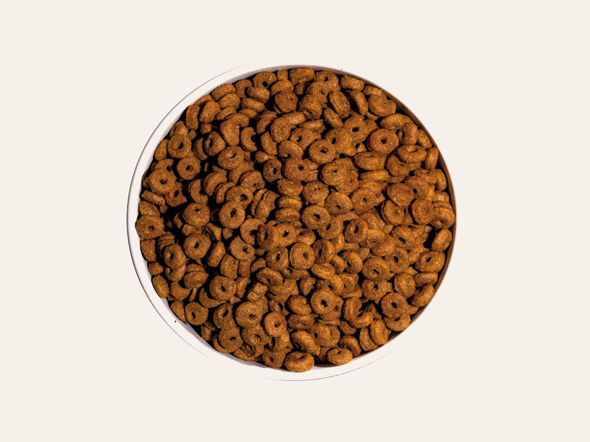 Pienso de Pollo y Pescado "CON CEREALES Y GLUTEN + SALUD CARDÍACA & ALTA DIGESTIBILIDAD" para Gato Adulto/Senior