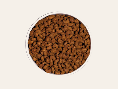 Pienso de Pollo y Salmón " CON CEREALES Y GLUTEN + CONTROL DE PESO & PIEL Y PELO SANO" para Gato Adulto Esterilizado