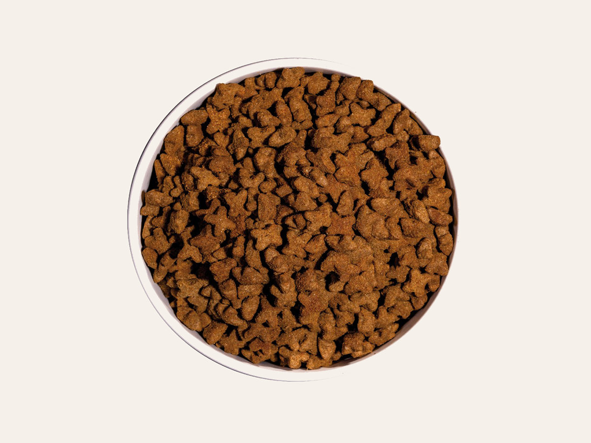 Pienso de Pollo, Cerdo y Salmón "SIN CEREALES + CONTROL DE PESO & ARTICULACIONES PROTEGIDAS" para Gato Adulto/Senior Esterilizado