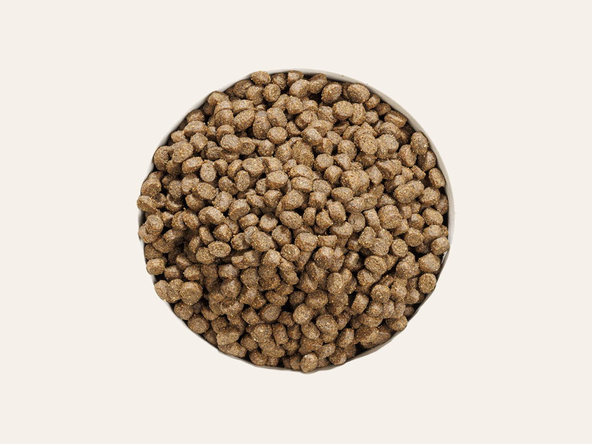 Pienso de Pollo y Pescado "SIN CEREALES + CONTROL DE PESO & ARTICULACIONES PROTEGIDAS" para Gato Adulto/Senior Esterilizado