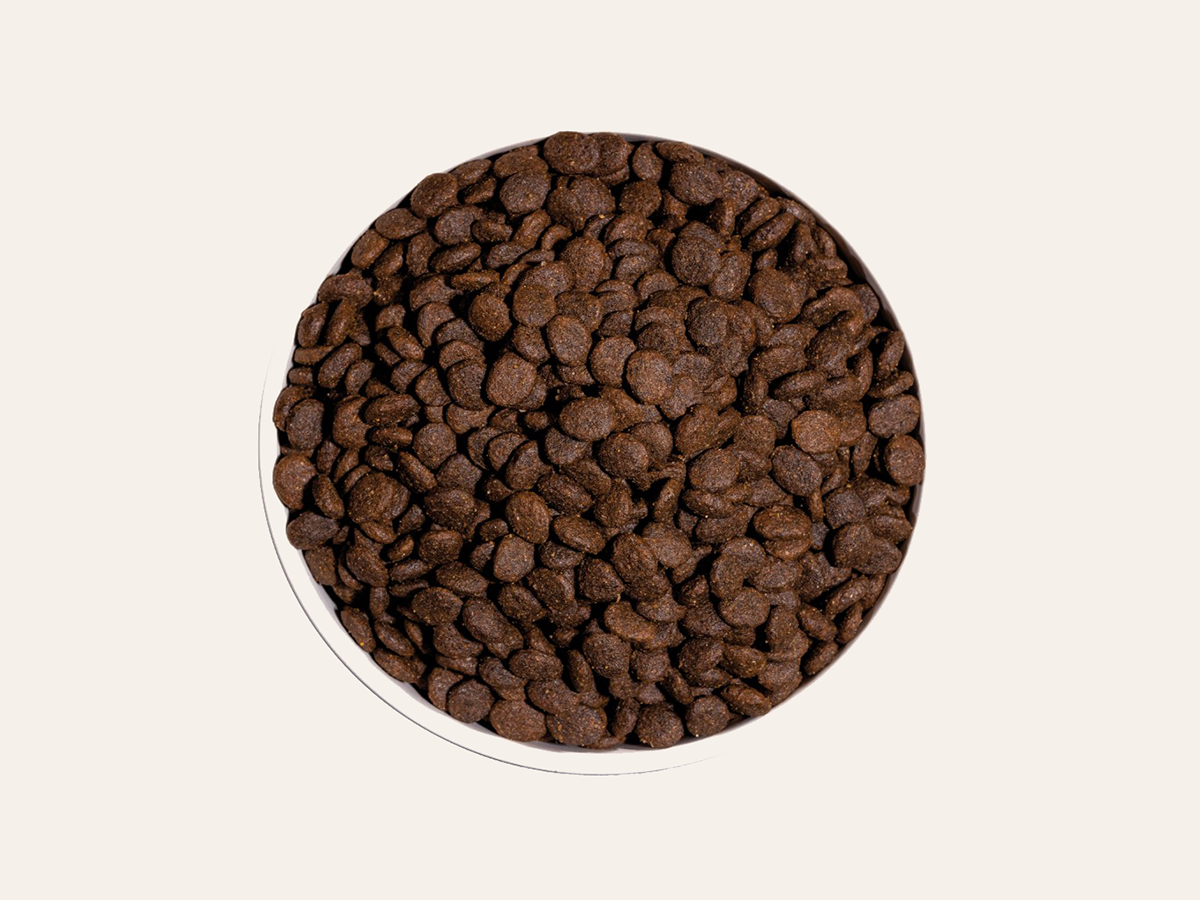 Pienso de Pollo y Pavo "SIN CEREALES + PIEL SANA Y PELAJE BRILLANTE & SALUD ARTICULAR" para Gato Adulto/Senior