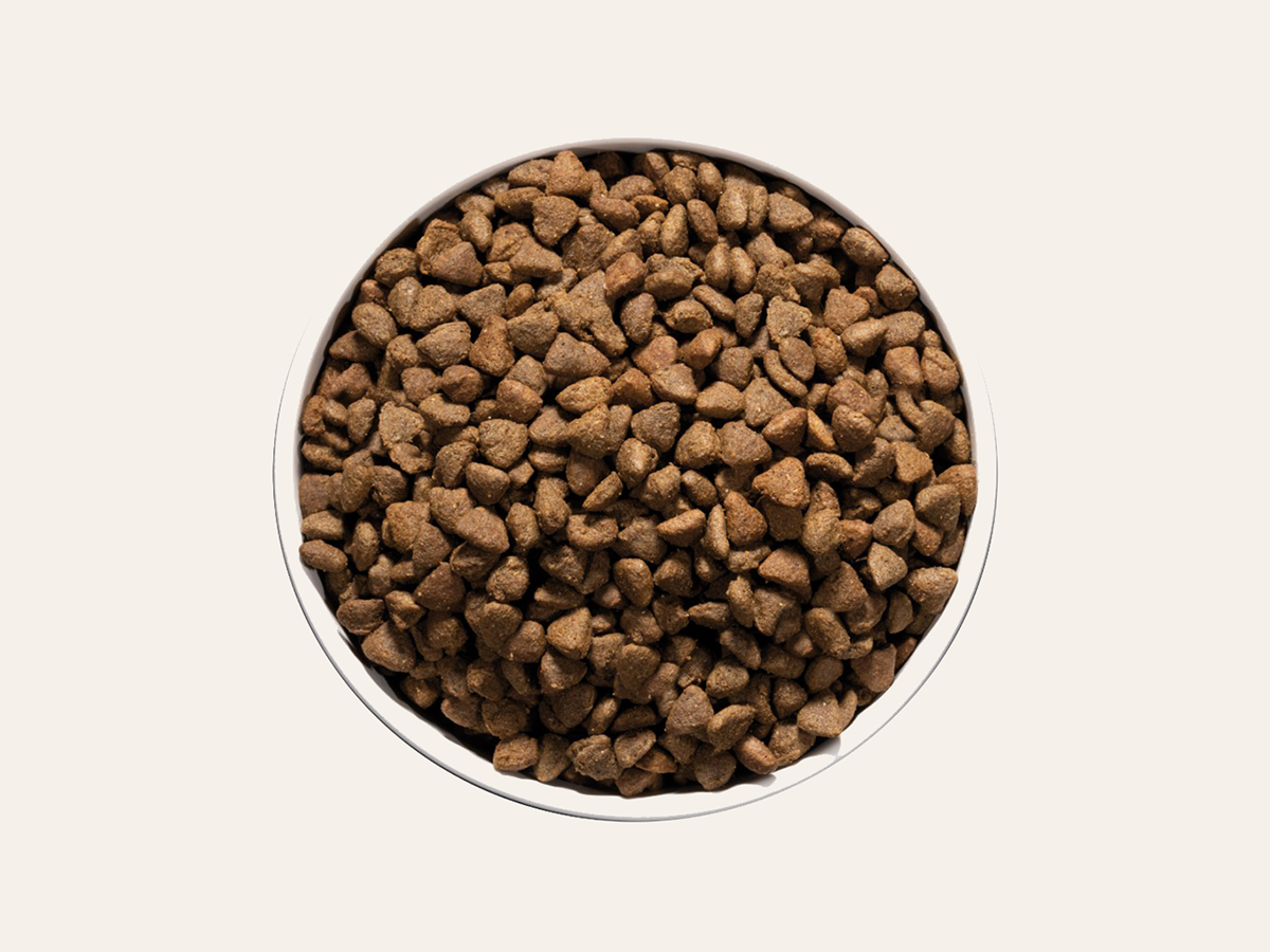 Pienso de Pescado Azul "SIN CEREALES HIPOALERGÉNICO + ALTA DIGESTIBILIDAD + PIEL SANA Y PELO BRILLANTE" para Gato Adulto/Senior