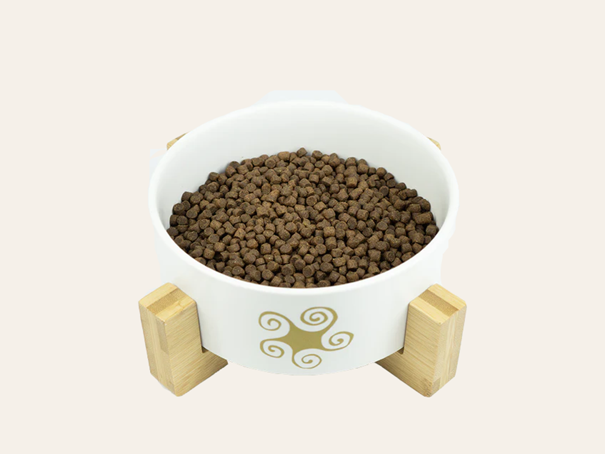 Pienso de Ave, Atún y Krill "SIN CEREALES + CUIDADO ARTICULAR & PIEL SANA" para Gato Gatito/Gata Gestante