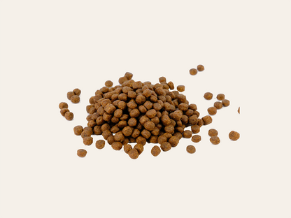 Pienso de Pollo "OMEGA 3 & PREBIÓTICOS" para Gato Gatito