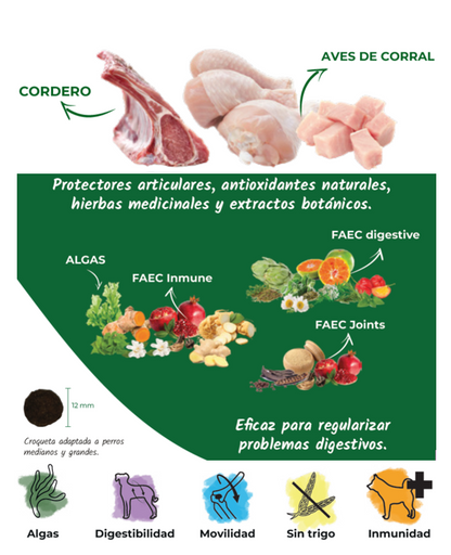 Pienso de Cordero y Pollo "CON CEREALES SIN GLUTEN + PROTECCIÓN ARTICULAR & DIGESTIVA" para Perro Adulto/Senior de tamaño Grande/Gigante