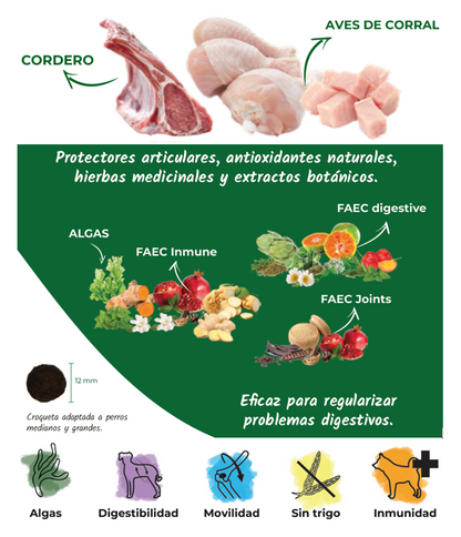 Pienso de Cordero y Pollo "CON CEREALES SIN GLUTEN + MANTENIMIENTO DIGESTIVO & ARTICULAR" para Perro Adulto/Senior de tamaño Mediano/Grande