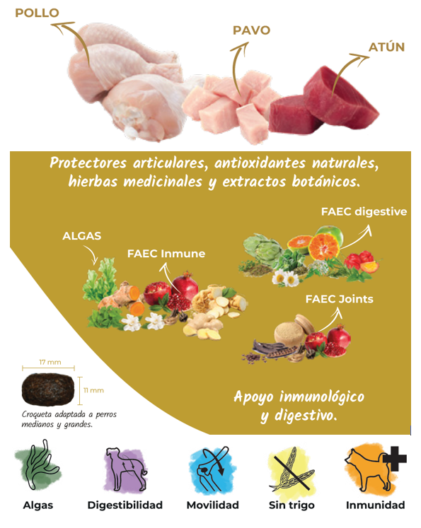 Pienso de Pollo, Pavo y Atún "CON CEREALES SIN GLUTEN + MANTENIMIENTO & SALUD ARTICULAR" para Perro Adulto/Senior tamaño Mediano/Grande