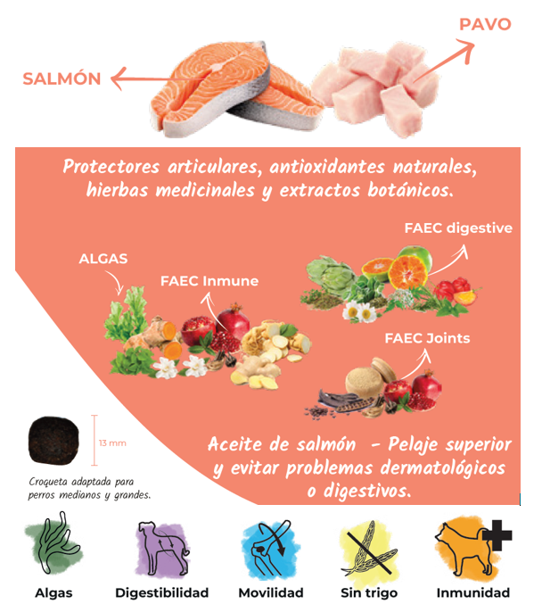 Pienso de Salmón y Ave "CON CEREALES SIN GLUTEN + SALUD ARTICULAR & DIGESTIVA" para Perro Adulto/Senior de tamaño Mediano/Grande/Gigante