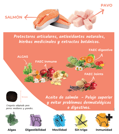 Pienso de Salmón y Ave "CON CEREALES SIN GLUTEN + SALUD ARTICULAR & DIGESTIVA" para Perro Adulto/Senior de tamaño Mediano/Grande/Gigante