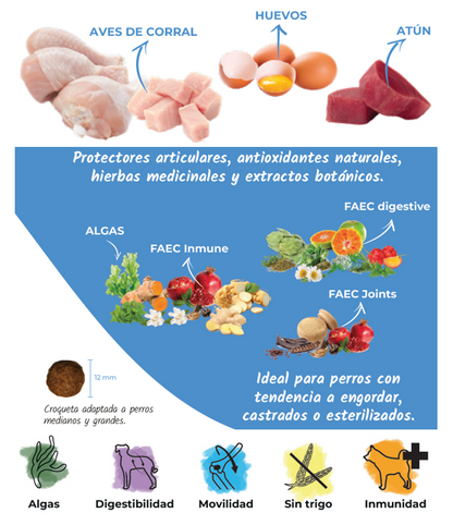 Pienso de Pavo y Pollo "CON CEREALES SIN GLUTEN + CONTROL DE PESO & ESPECÍFICO ESTERILIZADOS" para Perro Adulto/Senior de tamaño Pequeño/Mediano