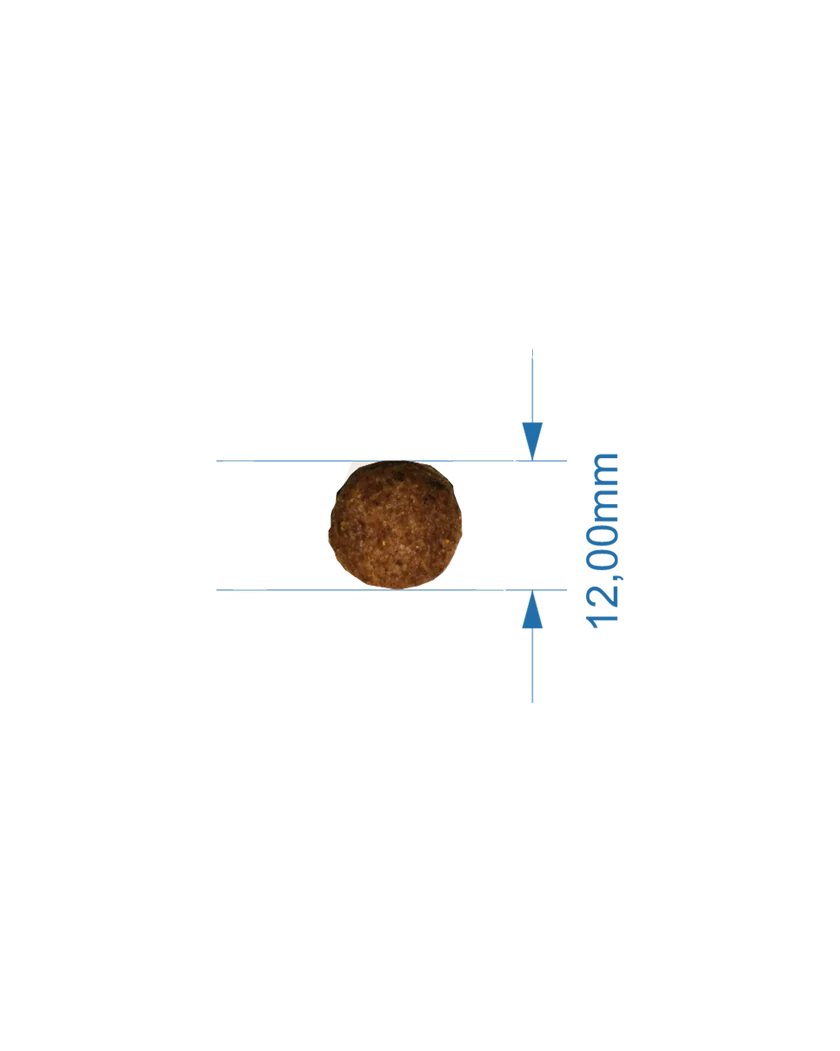 Pienso de Pescado Blanco "SIN CEREALES HIPOALERGÉNICO + SALUD ARTICULAR & DIGESTIVA" para Perro Adulto/Senior cualquier tamaño