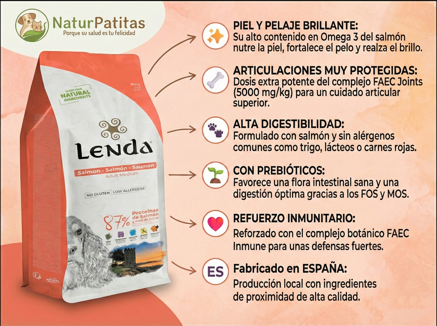 Pienso de Salmón y Ave "CON CEREALES SIN GLUTEN + SALUD ARTICULAR & DIGESTIVA" para Perro Adulto/Senior de tamaño Mediano/Grande/Gigante