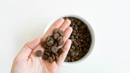 Pienso de Pescado Blanco "SIN CEREALES HIPOALERGÉNICO + SALUD ARTICULAR & DIGESTIVA" para Perro Adulto/Senior cualquier tamaño