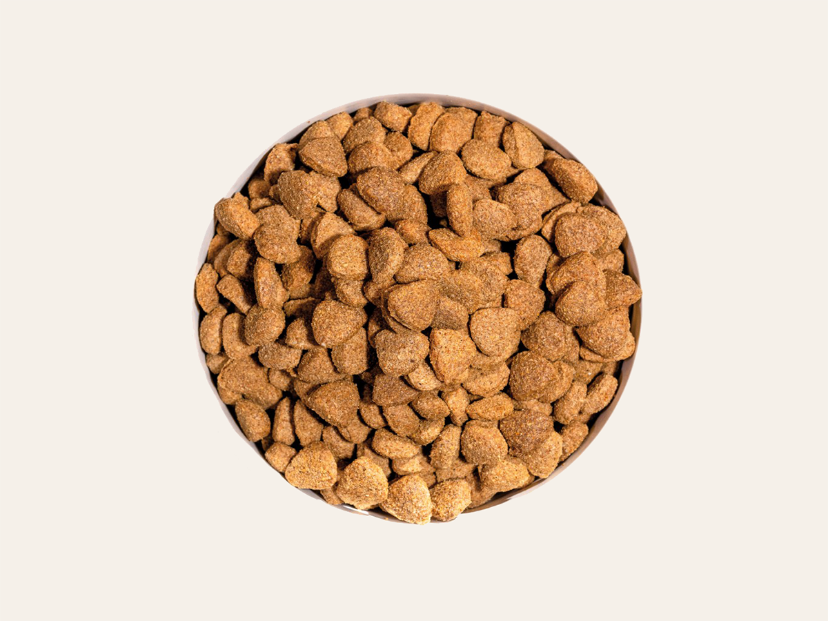 Pienso de Pollo "CON CEREALES Y GLUTEN + CONTROL DE PESO & PIEL Y PELO SANO" para Perro Adulto/Senior tamaño Mediano/Grande