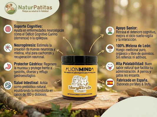Infografía detallada del suplemento LIONMIND de NaturPatitas. Muestra el bote amarillo de 100% Melena de León orgánica y sus puntos fuertes: soporte cognitivo para demencia y epilepsia, neurogénesis, protección gástrica, salud intestinal y apoyo para animales senior. Producto fabricado en España.