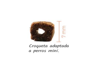 Pienso de Salmón, Anchoveta y Atún "BAJO EN CEREALES SIN GLUTEN + SALUD ARTICULAR & CONTROL DE PESO" para Perro Adulto/Senior de tamaño Mini/Pequeño/Mediano