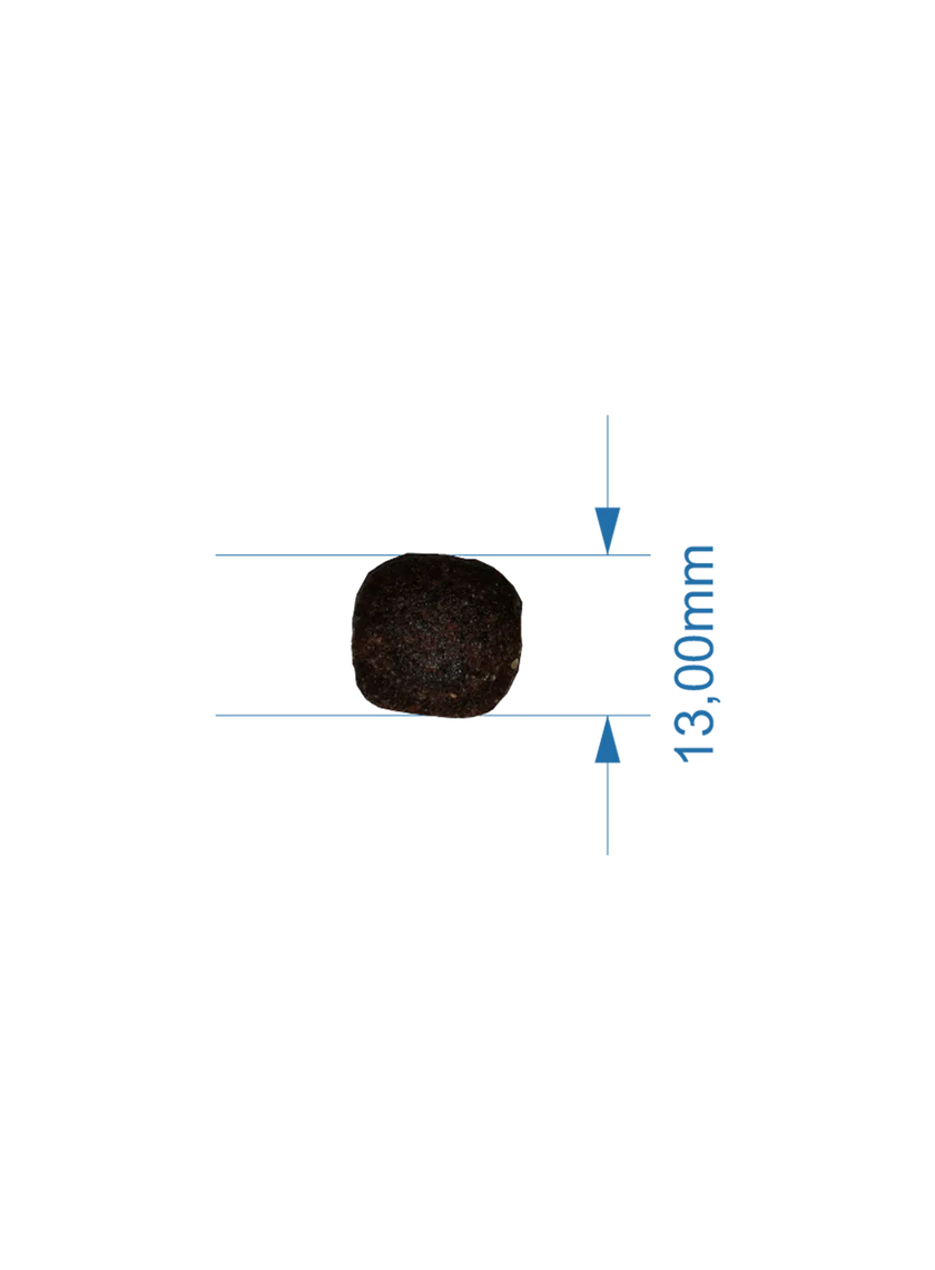 Pienso de Salmón y Ave "CON CEREALES SIN GLUTEN + SALUD ARTICULAR & DIGESTIVA" para Perro Adulto/Senior de tamaño Mediano/Grande/Gigante