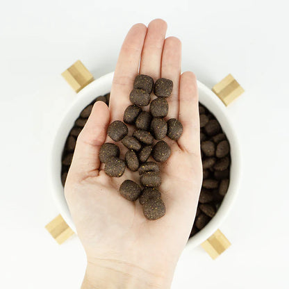 Pienso de Salmón y Ave "CON CEREALES SIN GLUTEN + SALUD ARTICULAR & DIGESTIVA" para Perro Adulto/Senior de tamaño Mediano/Grande/Gigante