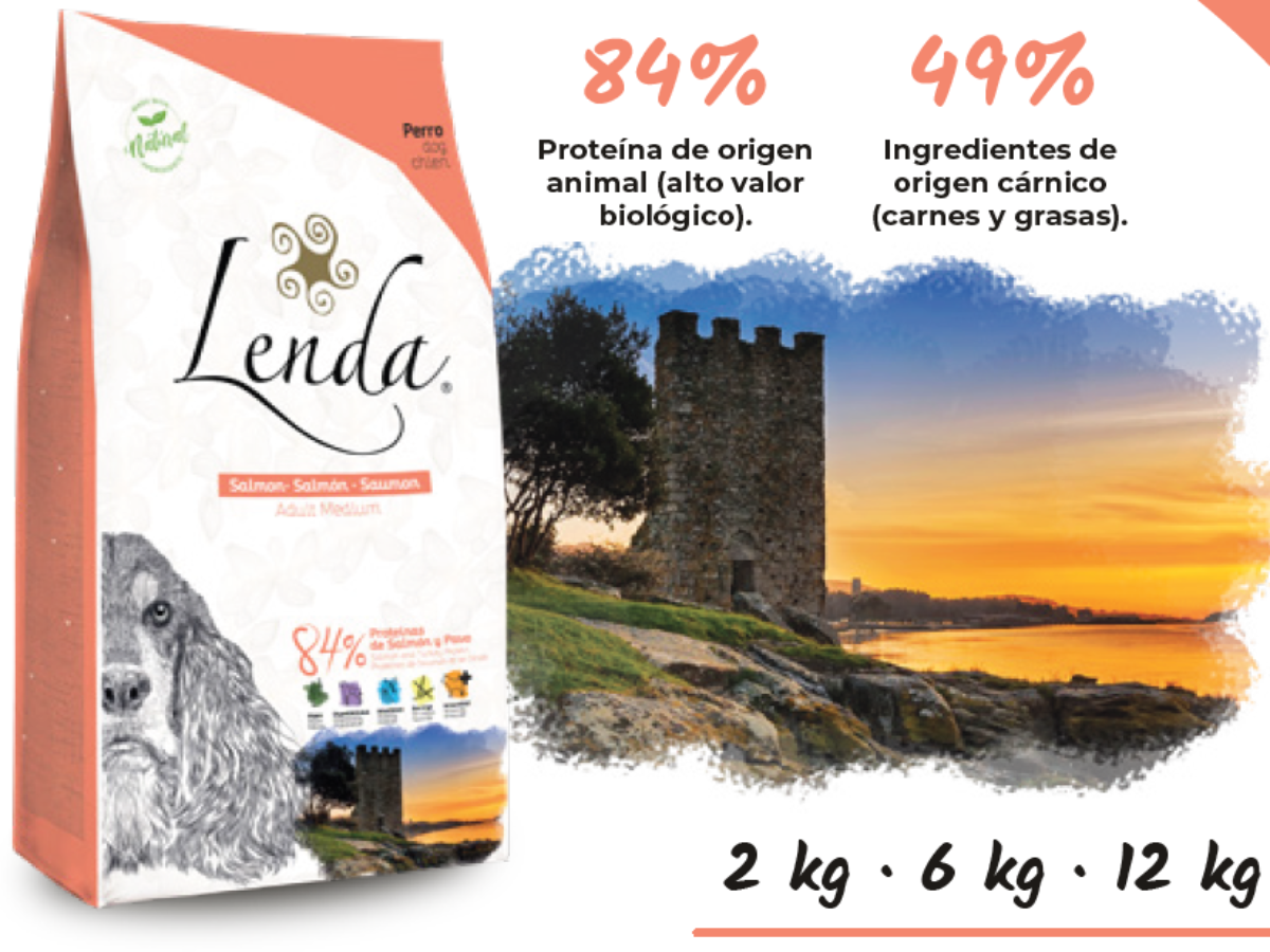 Pienso de Salmón y Ave "CON CEREALES SIN GLUTEN + SALUD ARTICULAR & DIGESTIVA" para Perro Adulto/Senior de tamaño Mediano/Grande/Gigante